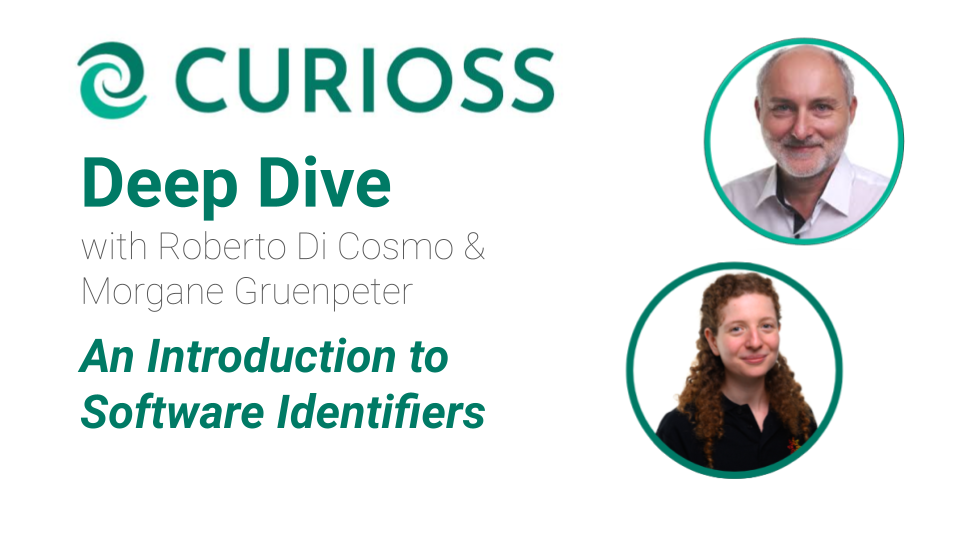 An Introduction to Software Identifiers